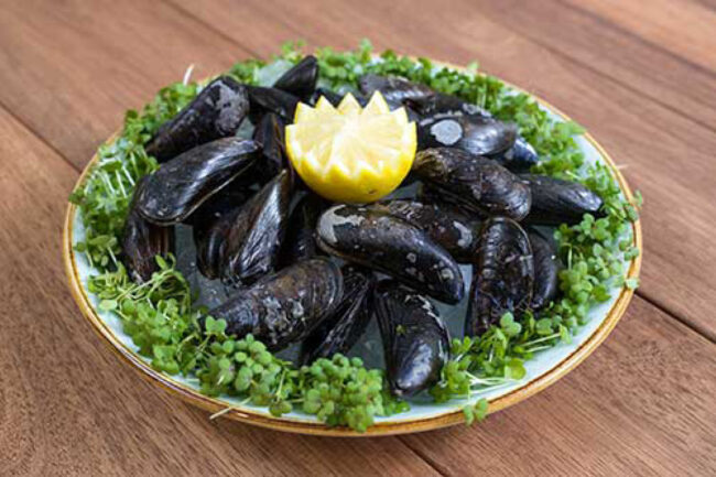 beitragsbild-wenkers-dortmund-saisonale-angebote-muscheln-V2